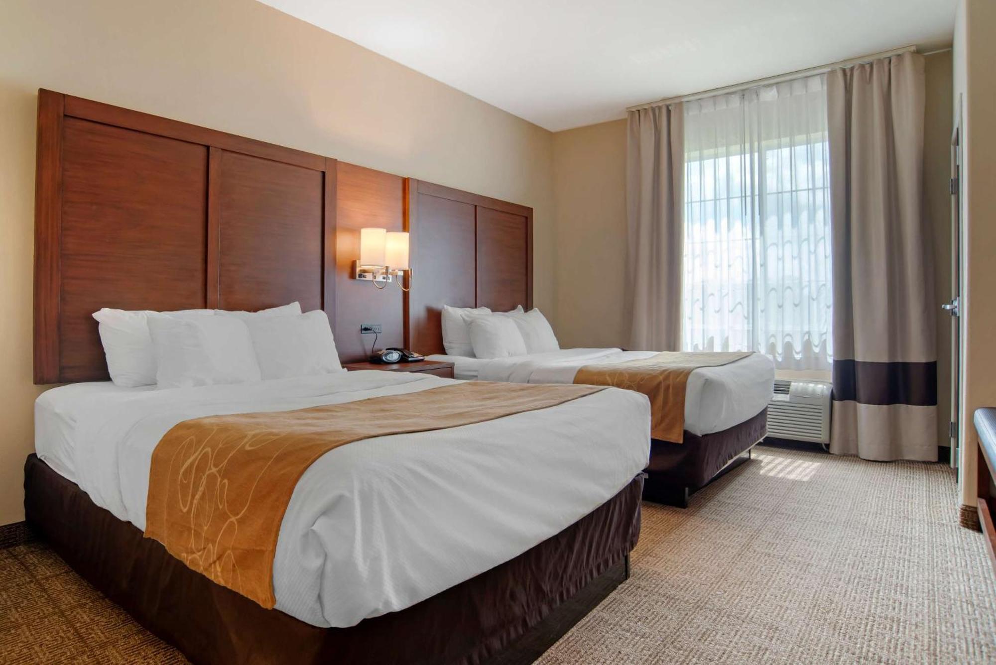 คอมฟอร์ต สวีท Hotel อเล็กซานเดรีย ภายนอก รูปภาพ