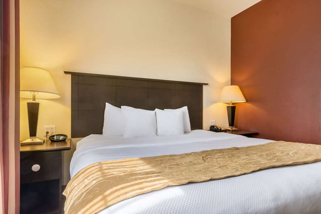 คอมฟอร์ต สวีท Hotel อเล็กซานเดรีย ห้อง รูปภาพ